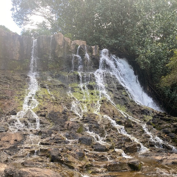 Meet your Posher, Emmy - Picture 4 of 10